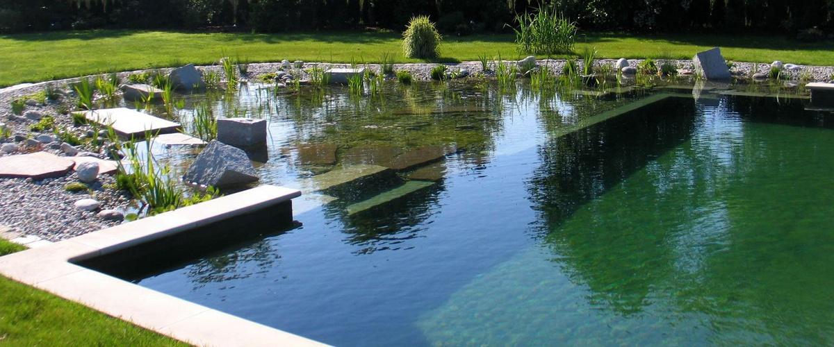 Natural / Lagoon Style Pools
